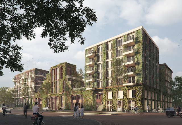 GROEI! VORM Amsterdam