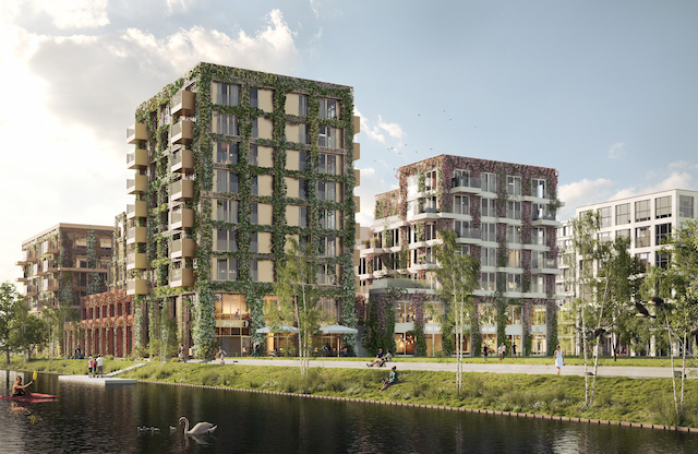 GROEI! VORM Amsterdam