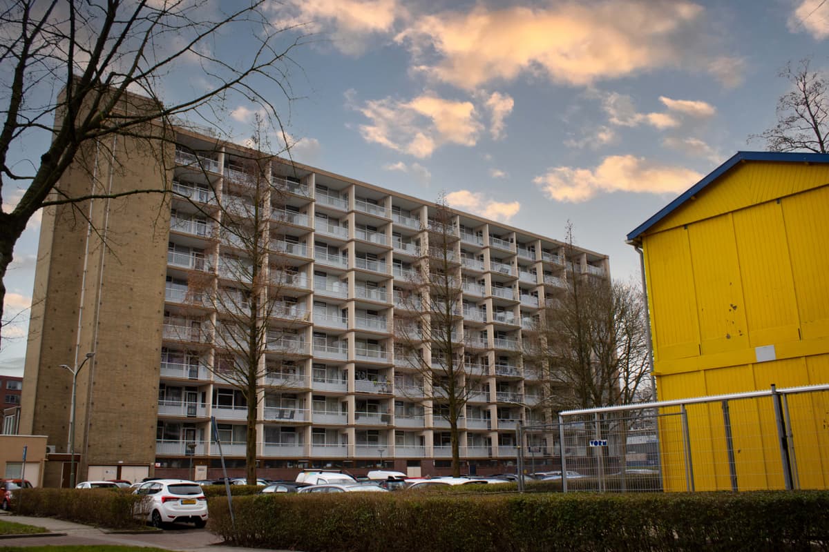 Halleyweg