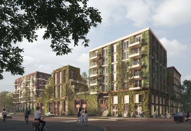GROEI! VORM Amsterdam