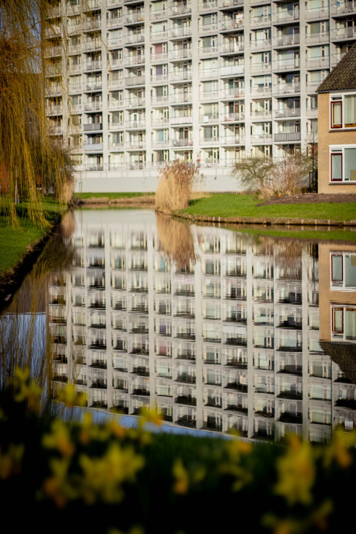 Kapteyn